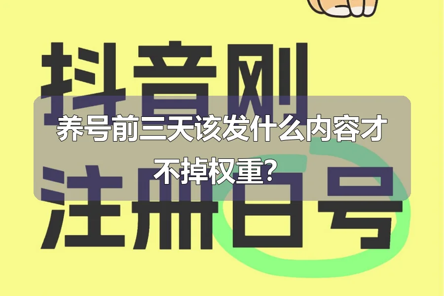 养号前三天该发什么内容才不掉权重？